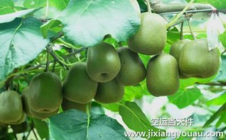 上海到海拉爾空運(yùn)_特價(jià)直達(dá)航班