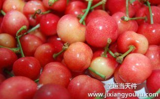 水果能空運么？航空托運水果收費和包裝須知